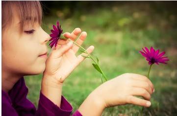 L'odeur du lait maternel aurait un rôle apaisant pour l'enfant !